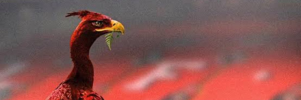 . banner