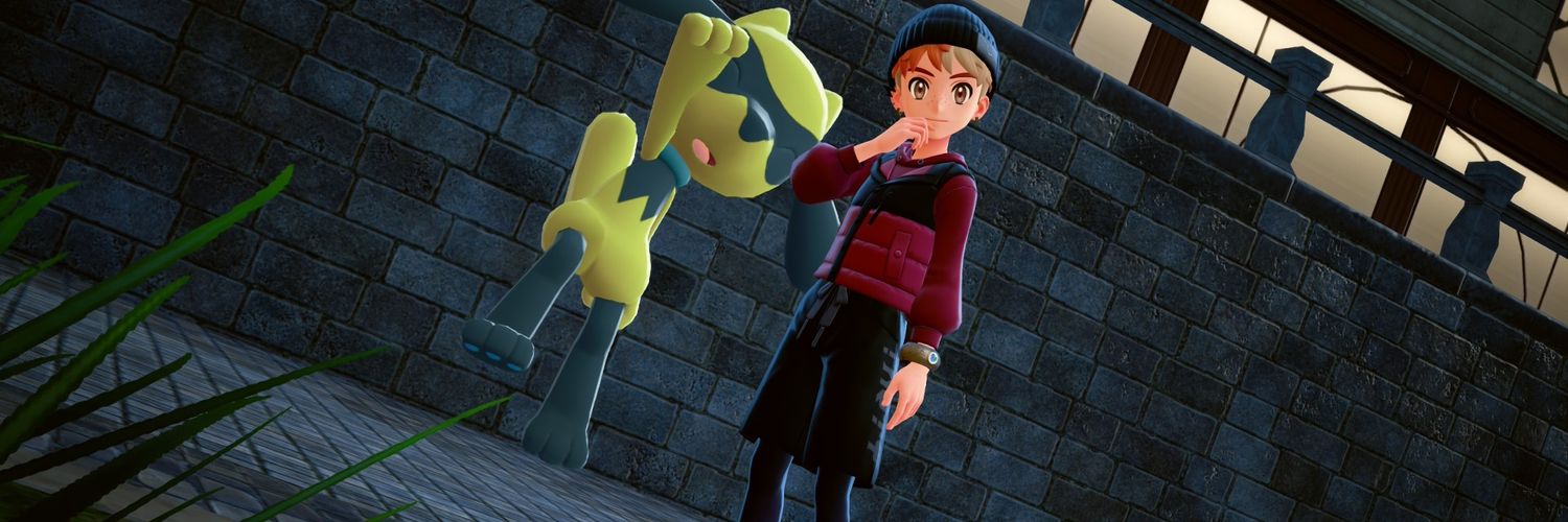 nichtricky banner