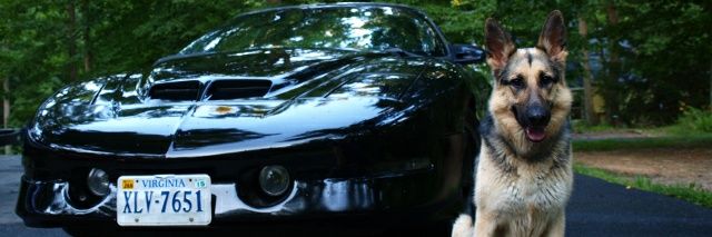 ipaq3115's profile banner image