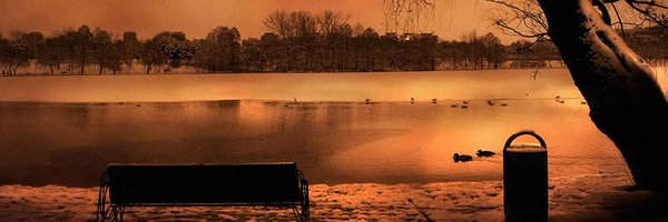 KriptoBach Profile Banner