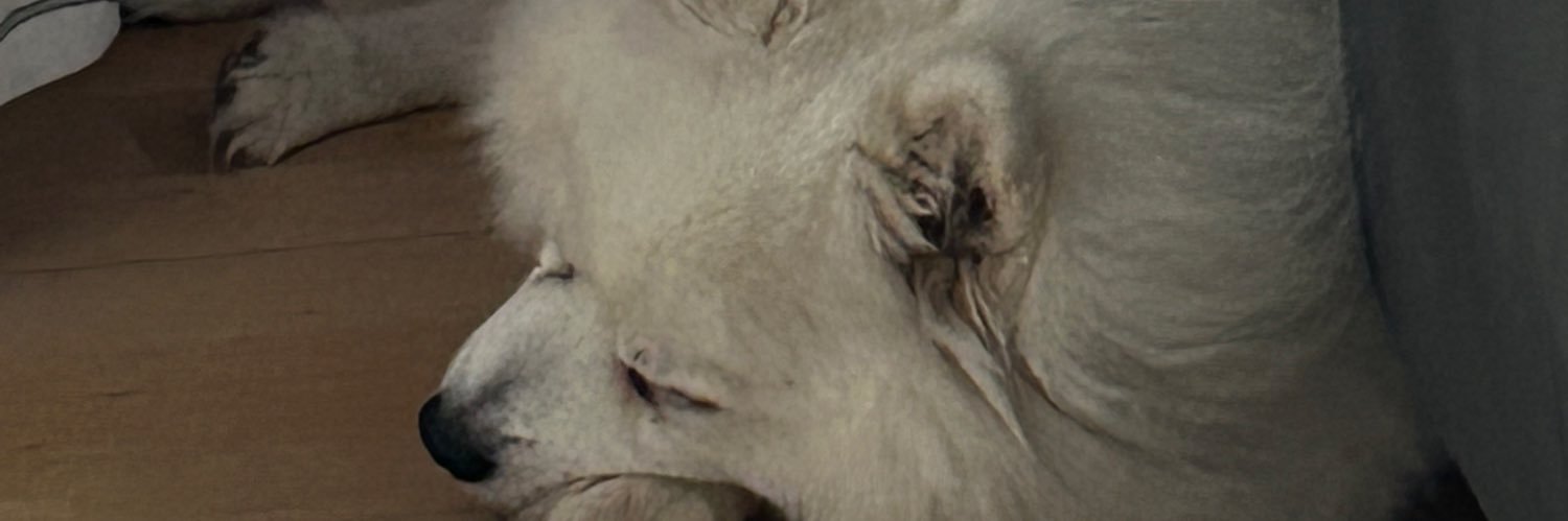 AhlfredB's profile banner image