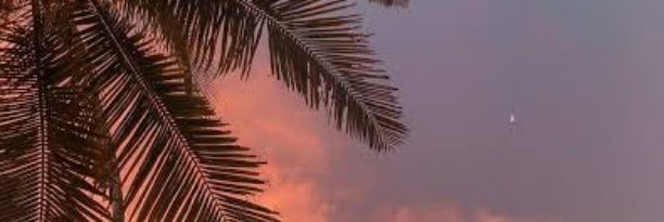 RiyaIssac7's profile banner image