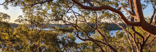 nathanwaters Profile Banner