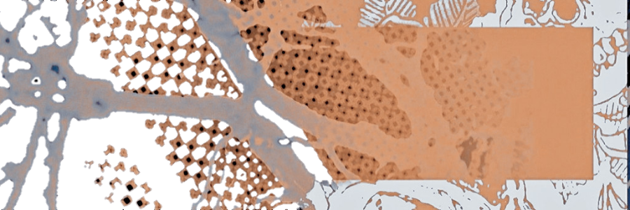 荒瀧一斗； banner