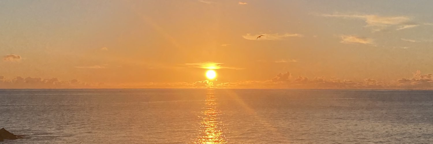 aura_menezes's profile banner image