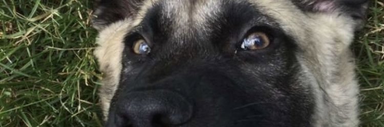 Mika_783's profile banner image