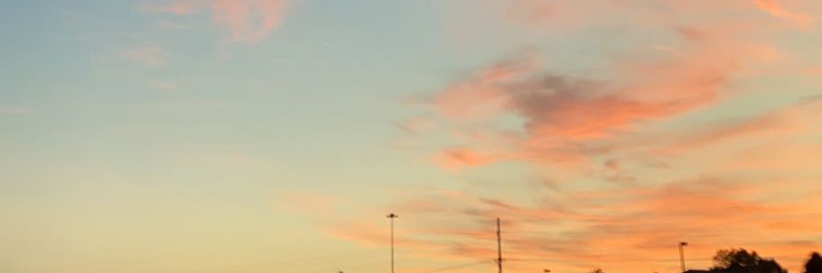 Emilee Hallum banner