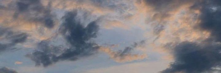 _Marall's profile banner image
