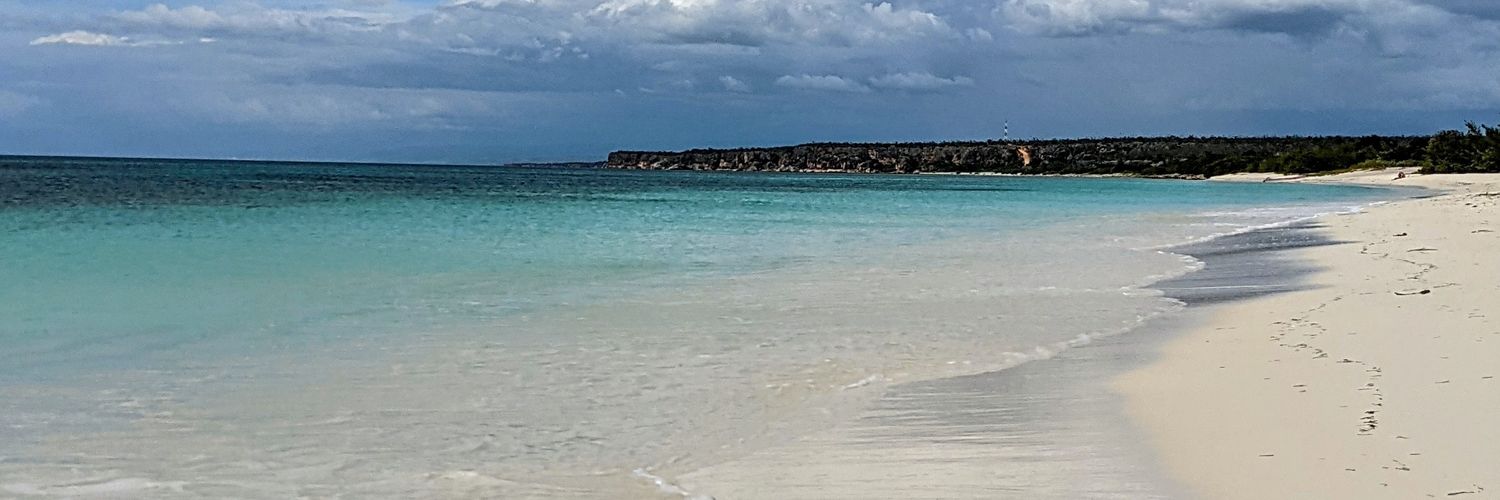 Albertdls's profile banner image