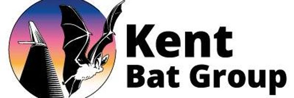 KentBatGroup Profile Banner