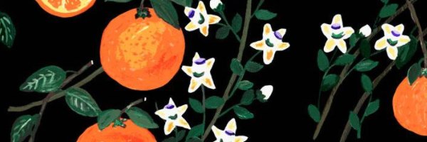 Quít banner