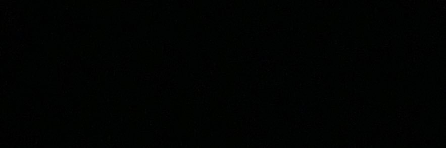 Bend Over Bears 🐻 banner