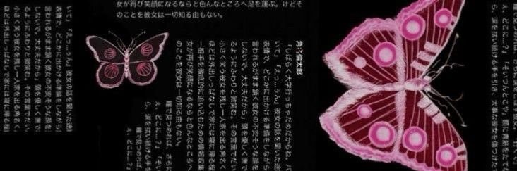 𓆩ayleva𓆪 banner