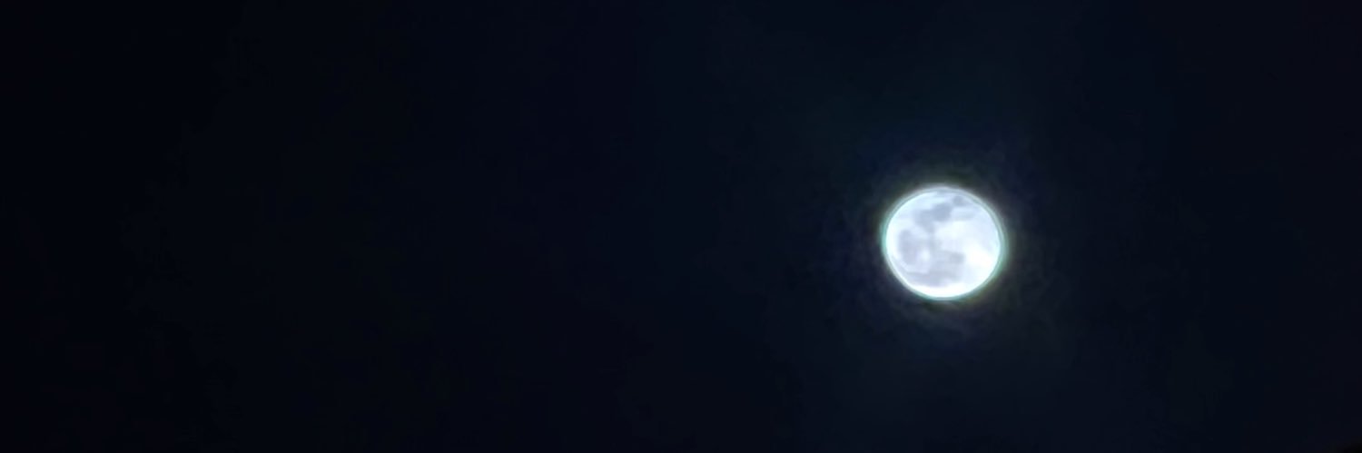 xcvtter's profile banner image