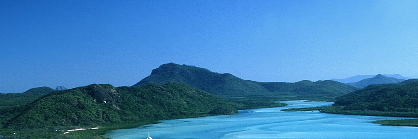 Vinay Kulkarni banner