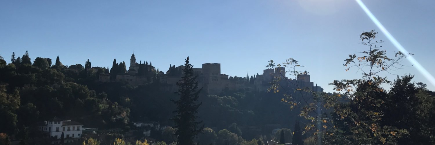 MARTIRC42's profile banner image