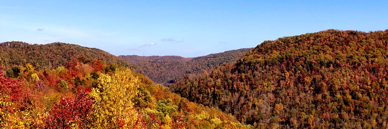 LindseyWeese's profile banner image
