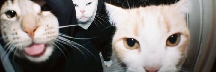 callatevik's profile banner image