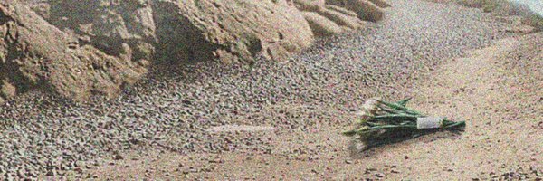 windshift_jp Profile Banner