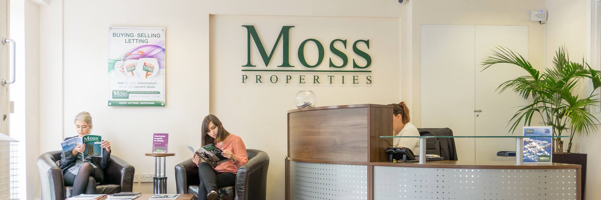MossProperties's profile banner image
