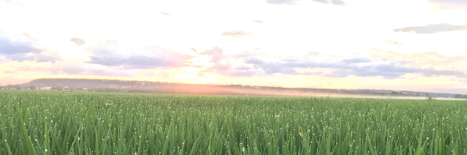 HBrickhill's profile banner image