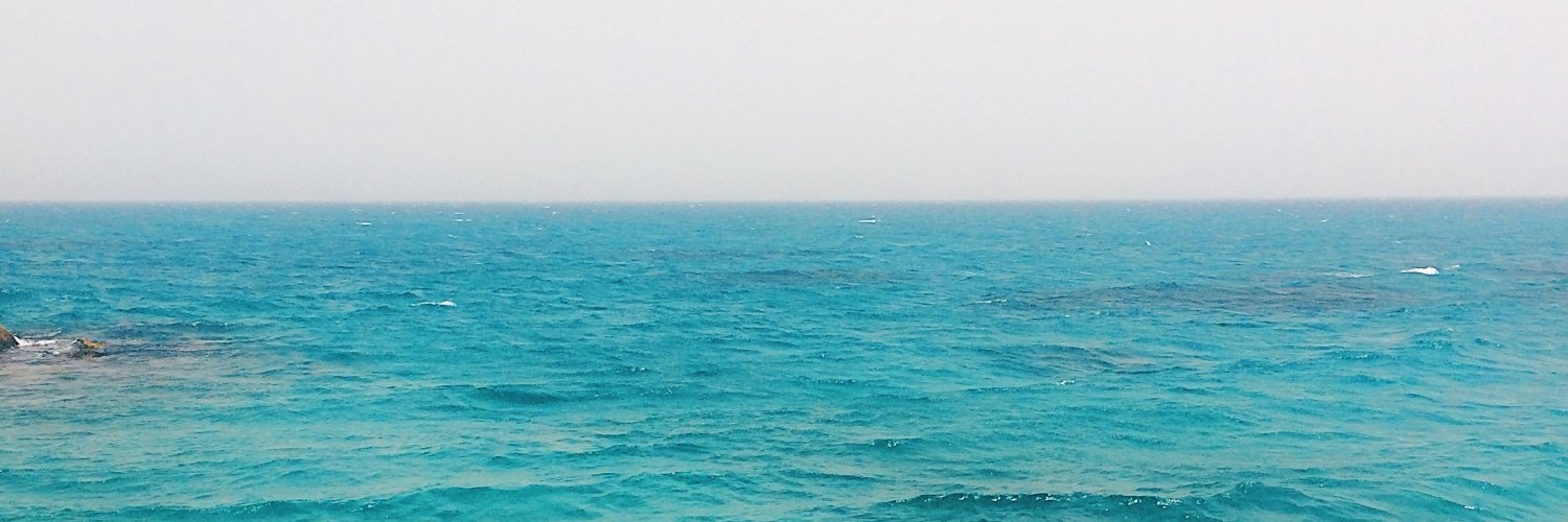 Cryptoigrek's profile banner image