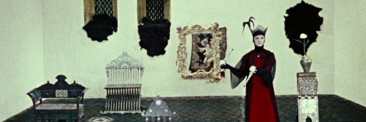wormwood 🦄💐 (vento aureo brainrot)'s banner