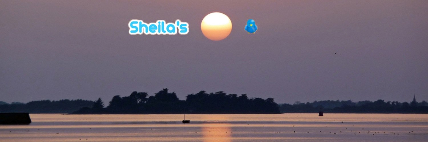 SheilaLeirner's profile banner image