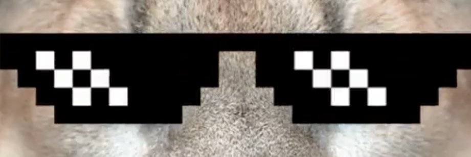 CryptoAVAgo's profile banner image