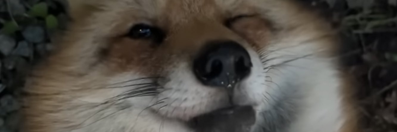 白戸龍一's banner