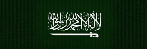 TDS_D11 Profile Banner