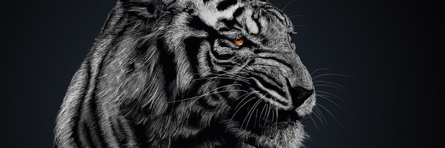 herpheeez's profile banner image
