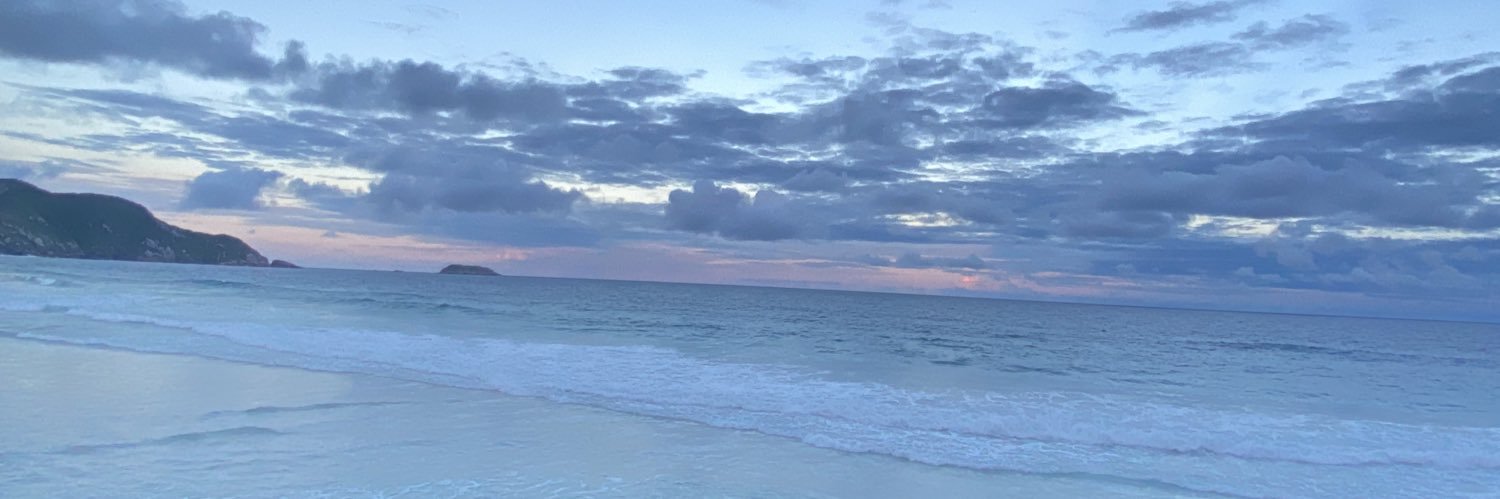 GiuliCarlini's profile banner image