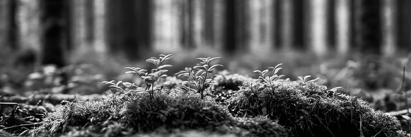 BlackAndWhiteMacro banner