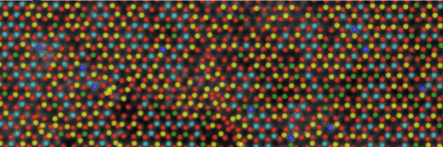 Ajayan Research Group banner