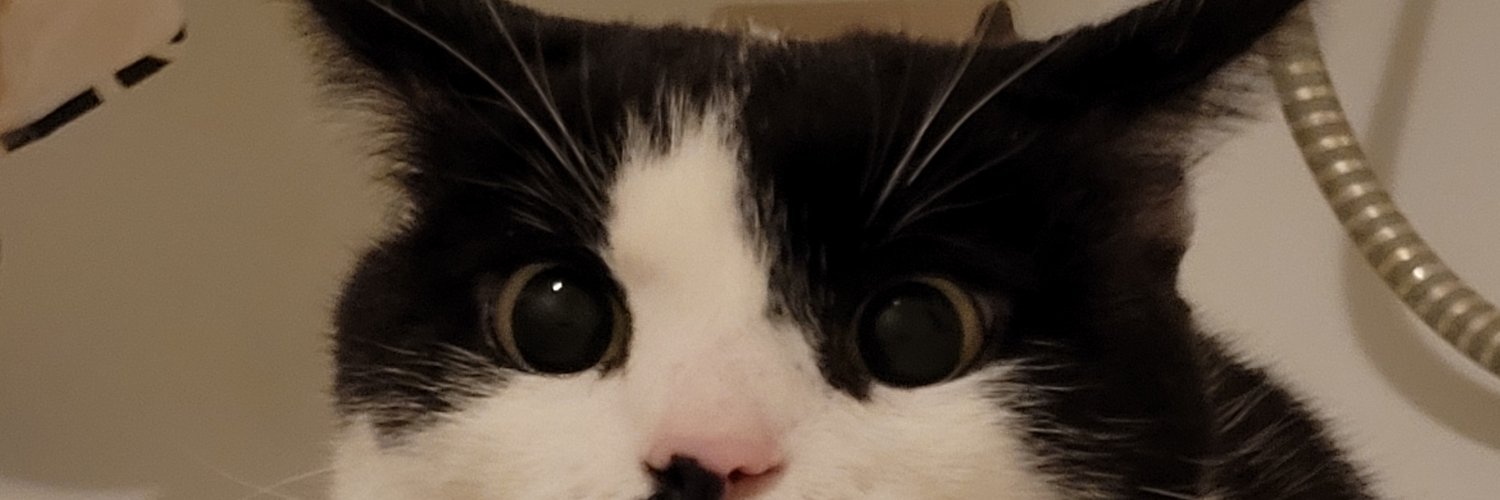 that_lass_jan banner