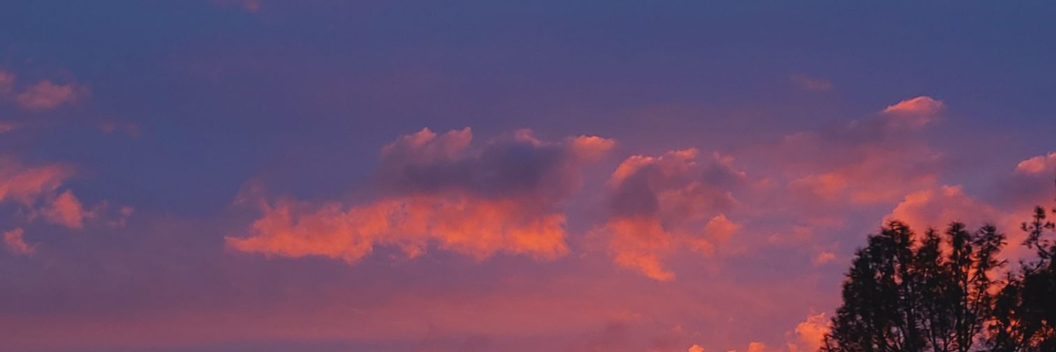 BabyBluNFT's profile banner image