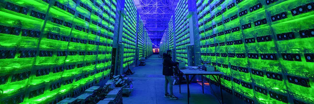 ChiaMemes 🌱 banner