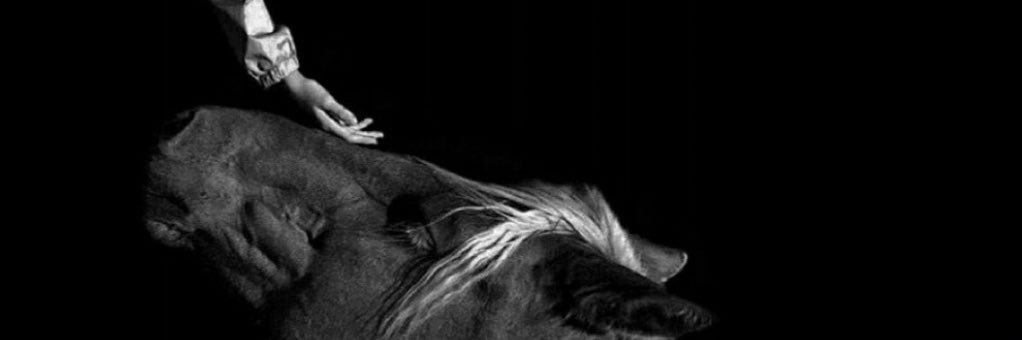 izo0x_'s profile banner image