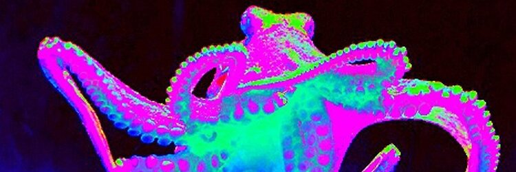 NuclearCircus banner
