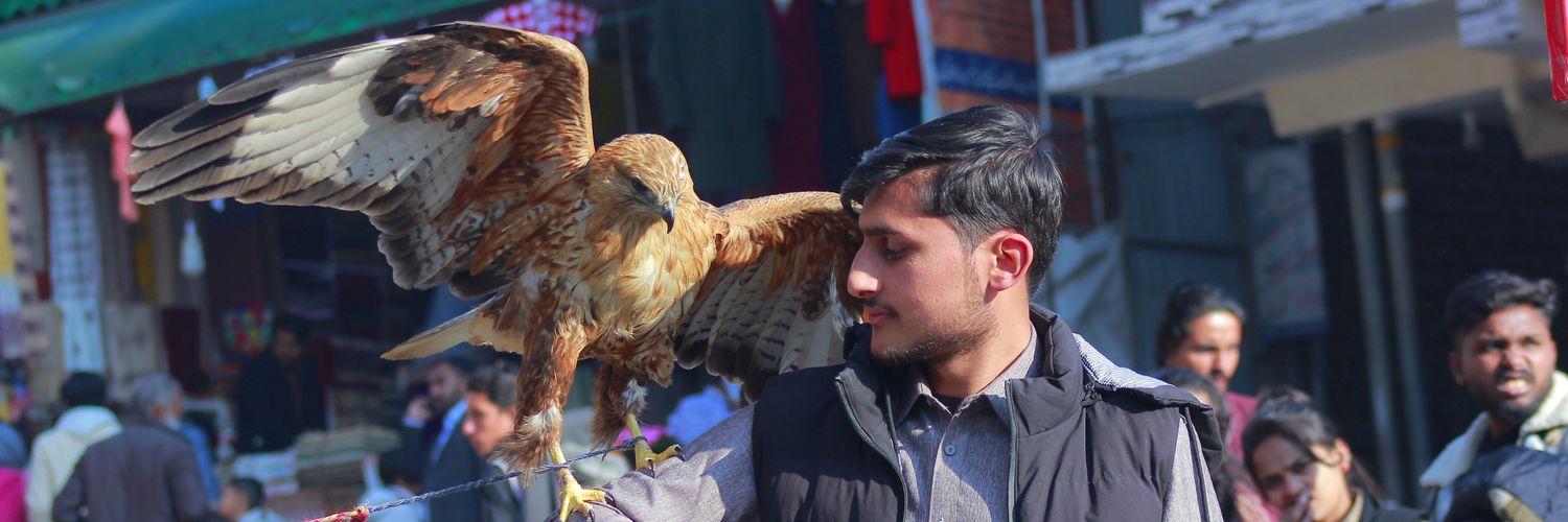 __mustafa01's profile banner image