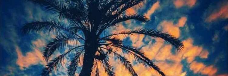 lukasclotinz's profile banner image
