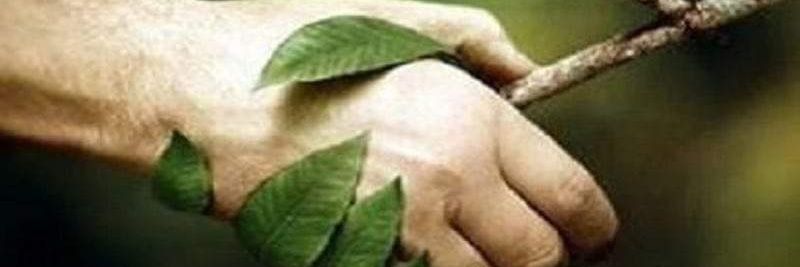 Shri_twitz's profile banner image
