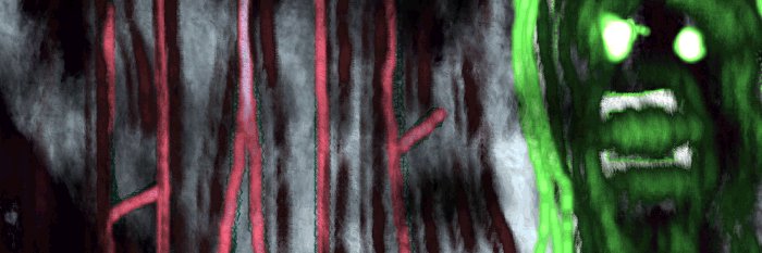 marco_cellucci's profile banner image