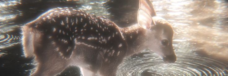 em banner