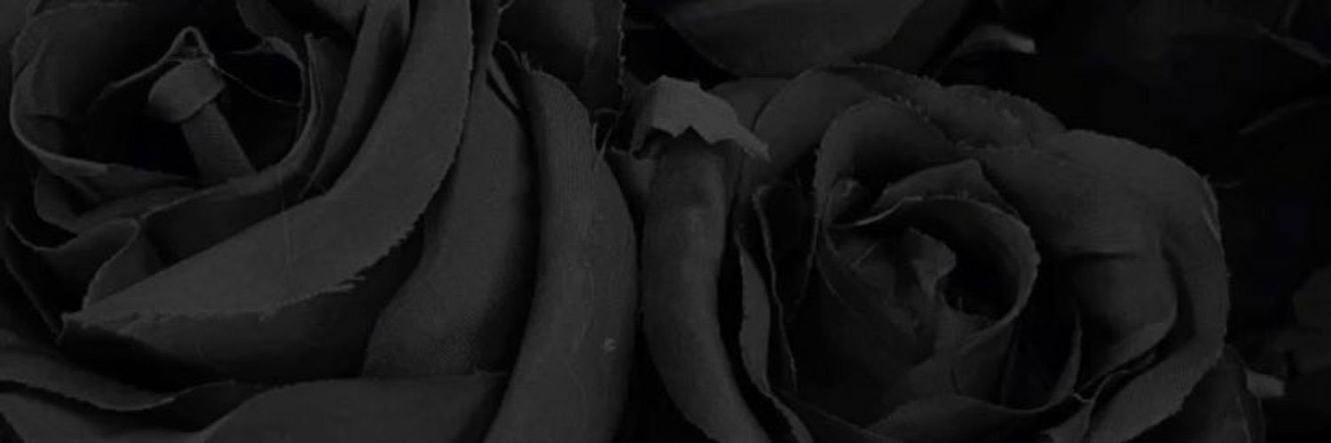 ²¹¹ banner