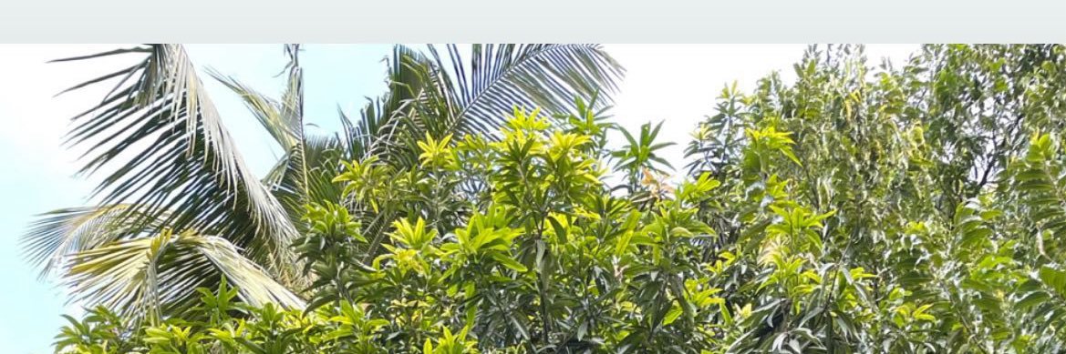 ☭ uncshi🔻 banner