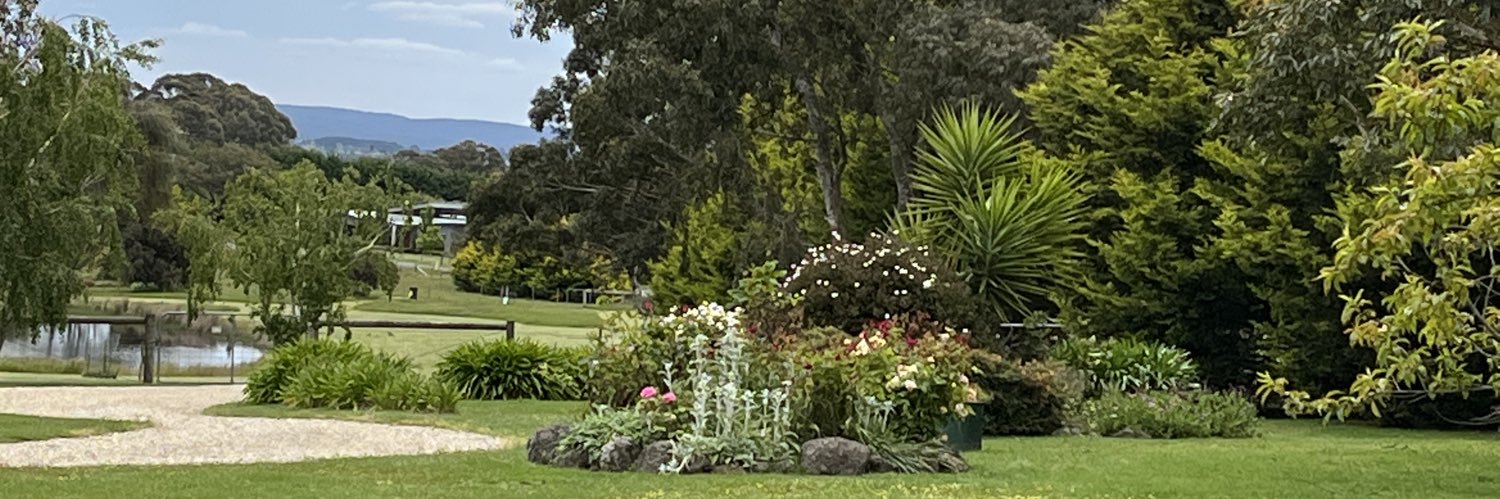 markdridgeway's profile banner image