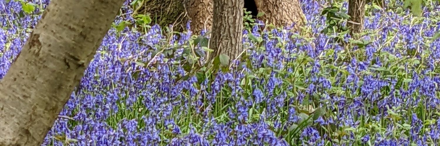 Feeby65's profile banner image
