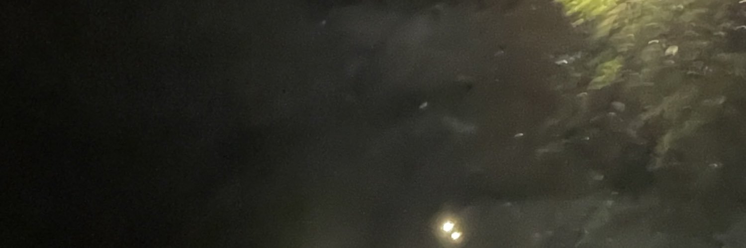 08_wtw's profile banner image